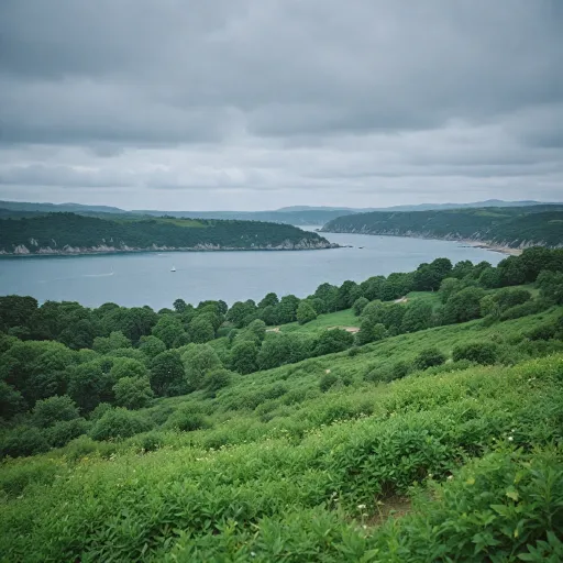 Comment choisir une agence SEO en Bretagne pour booster votre visibilité en ligne